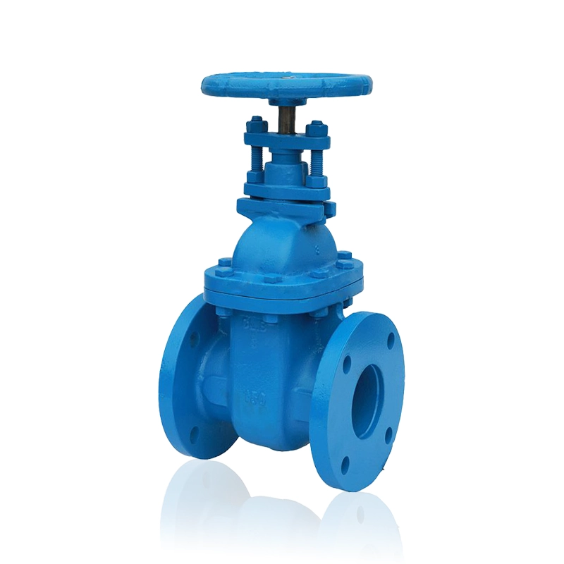 ANSI Cast Iron Non-Rising Stem Gate Valve2