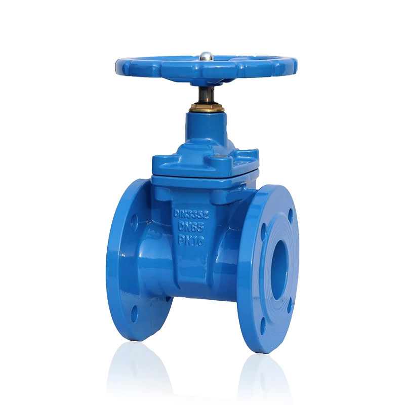 DIN cast iron resilient bolted stem gate valve